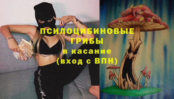 ПСИЛОЦИБИНОВЫЕ ГРИБЫ Нефтегорск