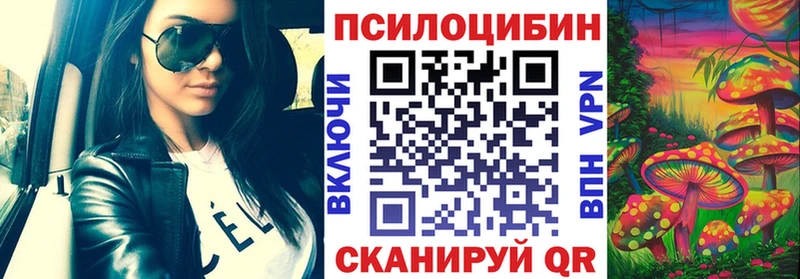 Псилоцибиновые грибы Cubensis  где найти   blacksprut сайт  Талдом 
